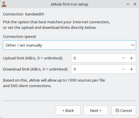 Connection & bandwidth page of the setup wizard