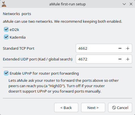 Networks & ports page of the setup wizard