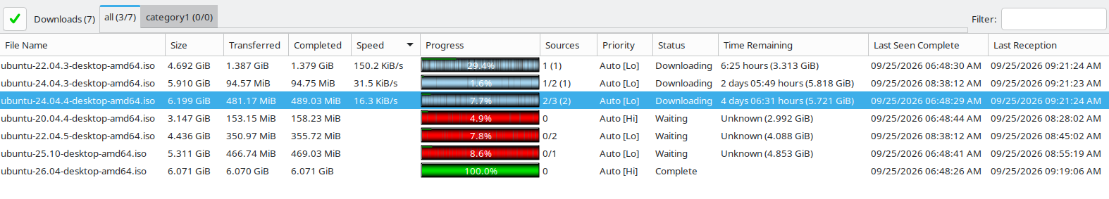 The download queue