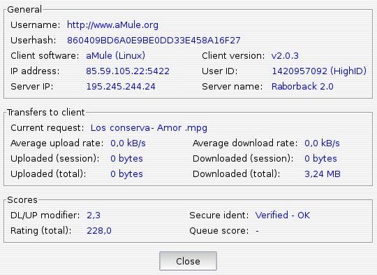 Client Details window
