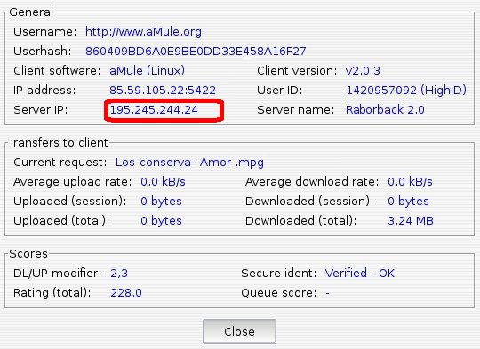 Server IP field