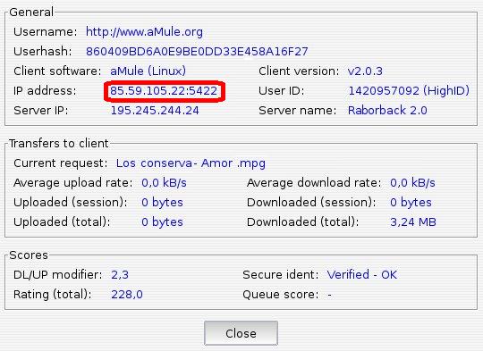 IP address field