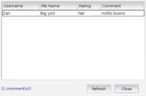 Comments window