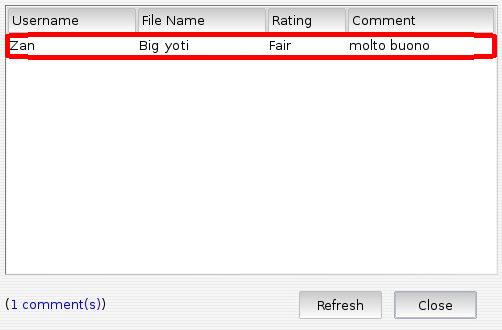Single comment entry